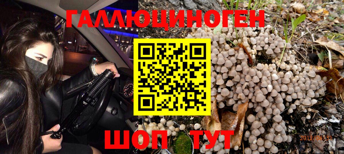 Псилоцибиновые грибы GOLDEN TEACHER  Вход с VPN  Архангельск 